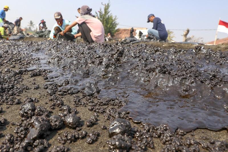 Tumpahan Minyak di Laut Karawang, Pemerintah-Pertamina Didesak Bertanggung Jawab