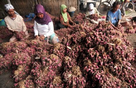Mentan Klaim Harga Bawang Merah di Seluruh Indonesia Sudah Turun 