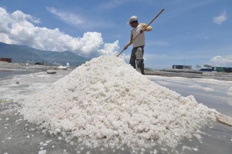 Impor Garam, Ini Alasan Petani Menolak