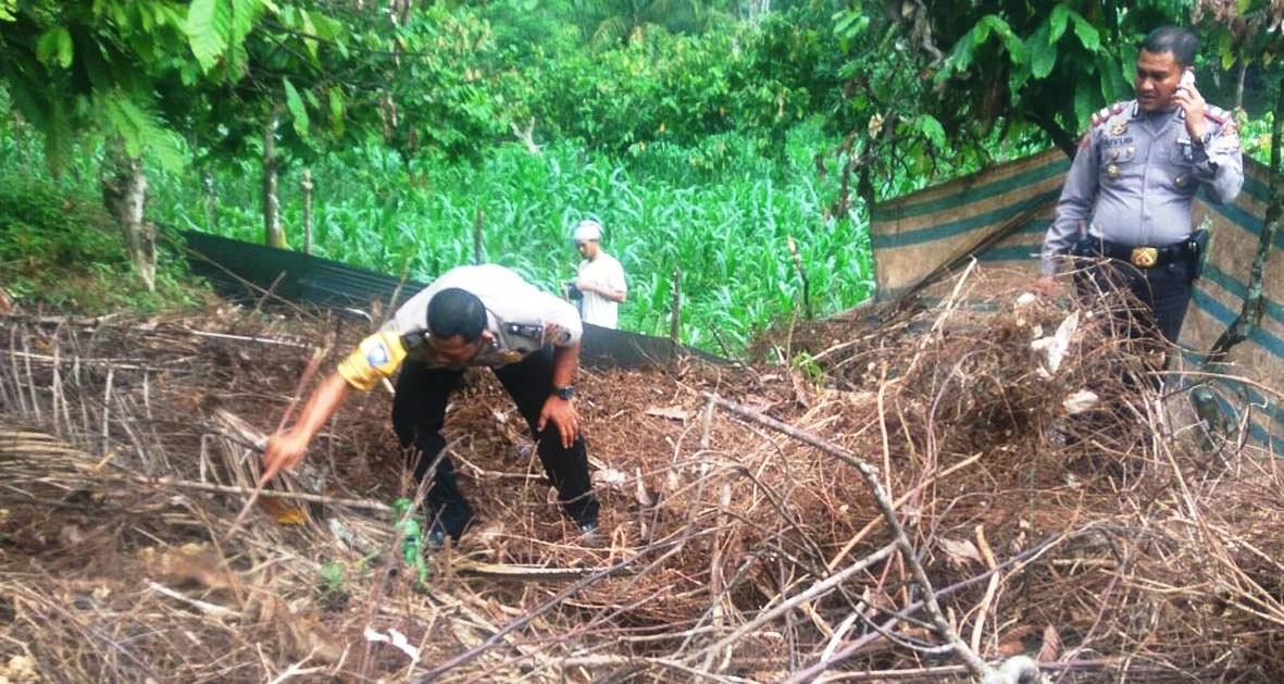 Bangkai Gajah Ditemukan di Kebun Warga Aceh Timur