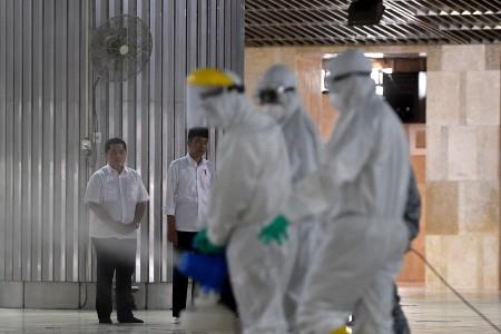 WHO Tetapkan Pandemi Covid-19, Ini Langkah Jokowi