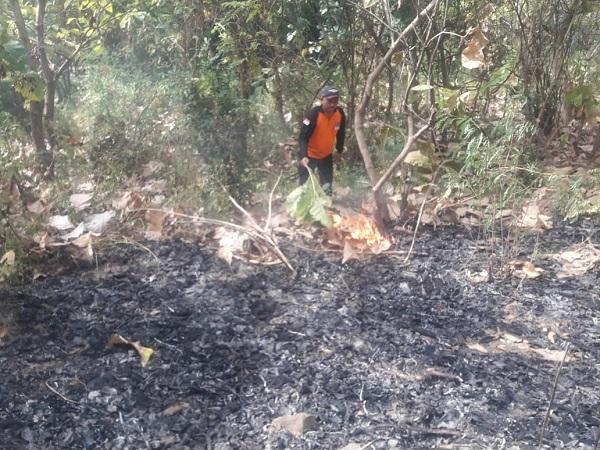 Kemarau, Hutan Lindung di Situbondo Terbakar