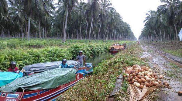 Polda Riau: 385 Sekat Kanal Sudah Dibangun