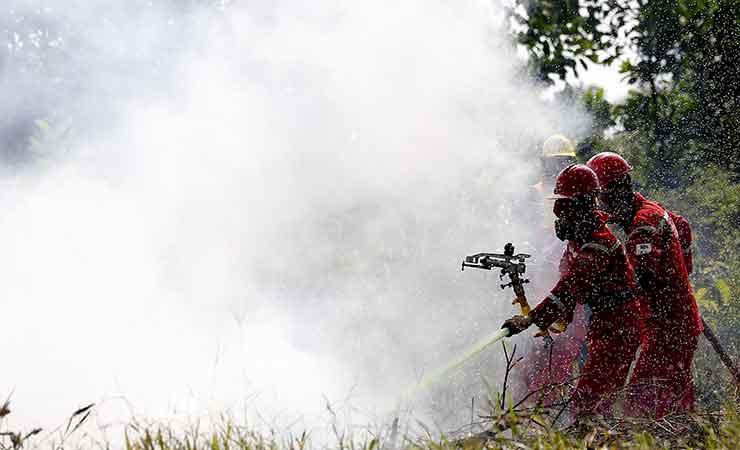 Petugas dari Manggala Agni Daops Banyuasin Ogan Ilir, Sumatera Selatan, melakukan pemadaman kebakara