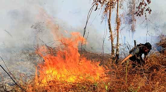 Warga memadamkan kebakaran hutan di Aceh